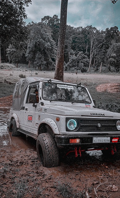 起伏不定 起伏不定