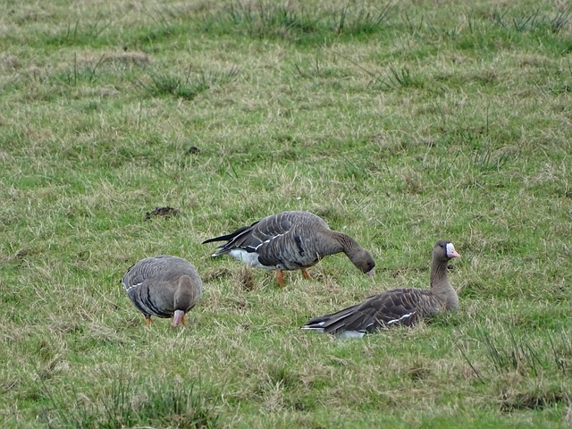 阵强队时 阵强队时