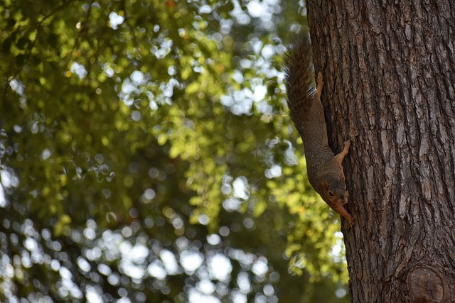 始终是人们 始终是人们