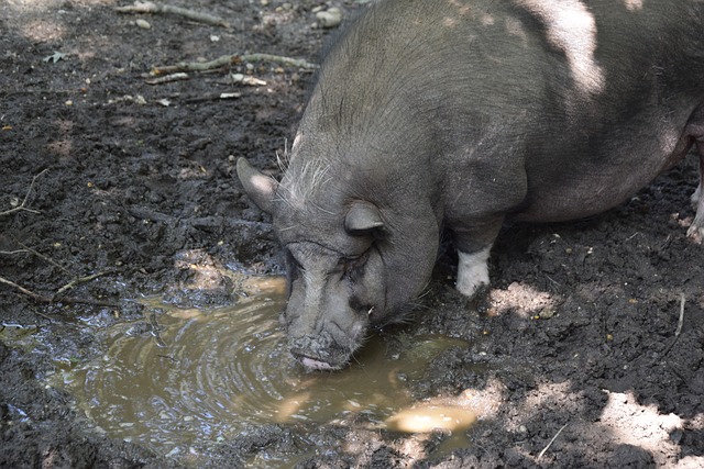 其个人职业 其个人职业