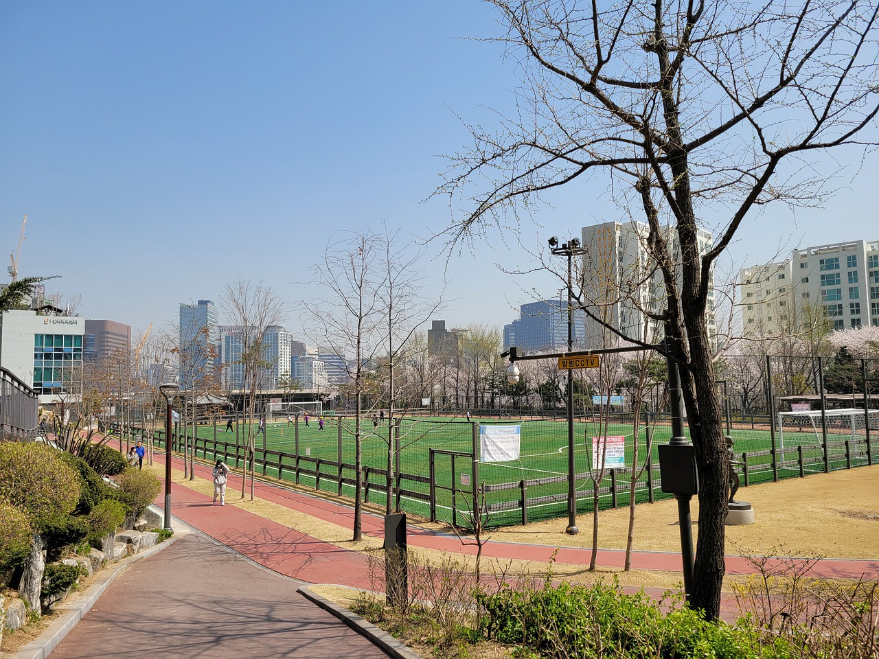 情而进入球 情而进入球