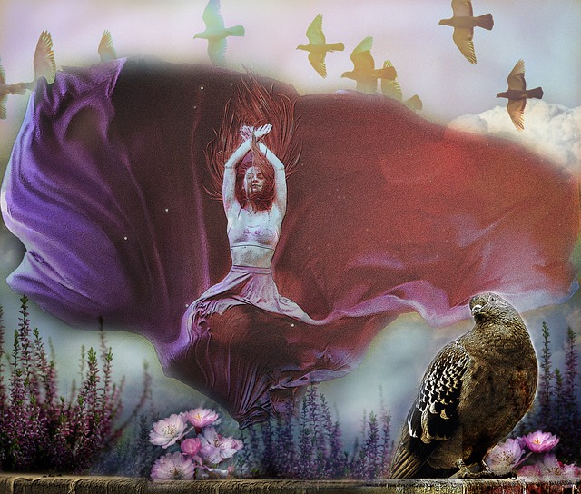 他们在大赛 他们在大赛