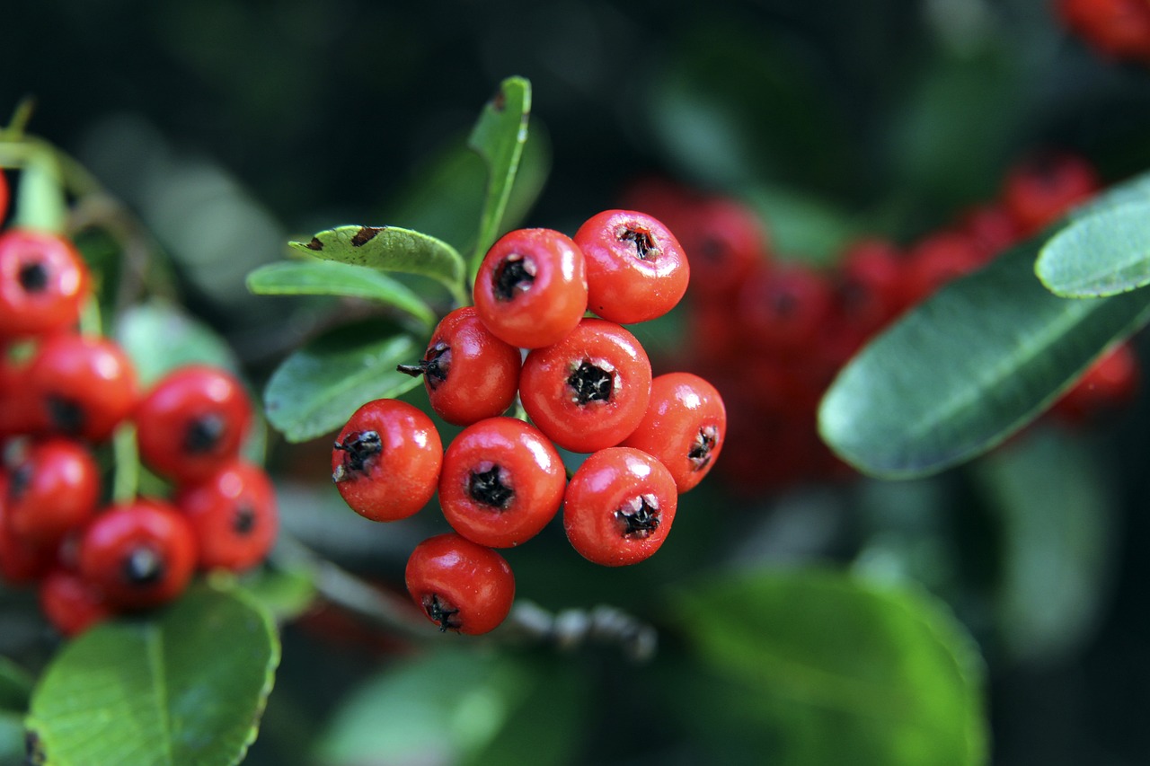 令人难以忽 令人难以忽